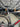 Ridley Noah Fast  2024 - Sram Rival eTap AXS 2x12sp - Forza Carbon Vardar DB