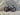 Colnago Y1Rs 2026 - Shimano Ultegra R8170 Di2 Disc - Vision Carbon 45