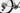 Ghost Asket CF Full Party 2026 - SRAM GX Eagle - XLC WR-G29 SL Disc