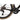 Seka Exceed RDC 2025 - Shimano Ultegra - Miche Kleos RD 50