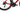 Lapierre Xelius DRS 6.0 2025 - Shimano 105 Di2 2x12sp - Miche SWR40