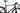 Ridley ASTR 2025 - SRAM Rival XPLR AXS 1x13 - Zipp 303