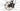 Scott Spark RC Team 2021 - Shimano XT - Aluminium