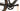 Specialized Diverge Comp Carbon 2023 - SRAM Rival - DT Swiss G540