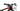 Specialized Epic Comp 2019 - SRAM GX - Aluminium