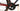 Giant TCR Advanced 1 2021 - Shimano Dura-Ace Di2 2x11sp - Giant SLR 1