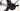 Specialized S-Works Tarmac SL8 2025 - SRAM Red AXS 2x12sp - Roval Rapide CLX II
