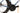 Specialized S-Works Tarmac SL8 2025 - SRAM Red AXS 2x12sp - Roval Rapide CLX II