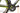 Guerciotti Eureka SHM50 2018 - Shimano Ultegra Di2 - Miche Super type