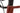 Focus Izalco Max Disc 8.8 2021 - Shimano Ultegra - Carbon