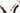 De Rosa SK Pininfarina Disc 2021 - SRAM Red AXS 2x12sp - Campagnolo Bora
