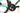 Bianchi Specialissima Comp 2025 - Shimano Ultegra Di2 2x12sp - Velomann Palladium Carbon