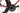 Specialized Tarmac SL8 Pro 2024 - SRAM Force eTap AXS 2x12sp - Roval Rapide CL II