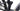Conway Xyron S 2.9 2024 - SRAM SX - Black Jack Ready 35