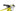 Scott Spark RC World Cup 2020 - SRAM NX - Aluminium