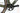 Ridley Kanzo Fast 2024 - Shimano GRX - DT Swiss G1800