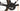 Berria Belador 2022 - Shimano Ultegra Di2 2x12sp - Carbon