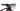 Orbea OIZ M50 2018 - SRAM NX Eagle 1x12sp - Mavic Crossmax TL 6-Bolt