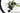 Berria Allroad HPR - SRAM Apex - Rodi Avan Force
