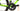 Giant Defy Advanced 2 2019 - Shimano Ultegra - Nesta Volan