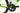 Giant Defy Advanced 2 2019 - Shimano Ultegra - Nesta Volan
