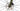 Ridley Kanzo Fast 2024 - Shimano GRX - DT Swiss G1800