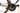 Basso Venta Disc 2020 - Shimano 105 - Microtech