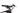 Raymon HardRay E 2.0 2022 - Shimano Acera