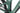 Scott Patron eRIDE 910 2022 - Shimano XT 1x12sp - Syncros MD30