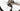 Stevens Camino Pro 2024 - Shimano GRX - DT Swiss G1800