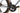 Specialized S-Works Aethos 2022 - Shimano Ultegra Di2 2x12sp - Roval Rapide CLX