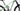 Canyon Strive CF 2021 - SRAM NX - Aluminium