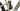 Focus JAM 2 6.9 2022 - Shimano XT - Aluminium