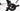 Massi Team Race Di2 12V 2024 - Shimano 105 Di2 - Massi X-Tech Carbon