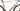 BH RS1 4.0 2023 - Shimano 105 Di2 2x12sp - Vision Team 35
