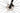 Cervélo Caledonia AXS 12V 2024 - SRAM Rival AXS - Mavic Allroad S
