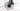 Ridley Noah Fast 2025 - Shimano Dura-Ace Di2 - Vision TLR 40