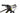 Scott Spark RC Comp 2021 - SRAM GX - Syncros X25