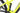 Haibike AllMtn 3 2024 - Shimano Deore - WTB