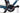 Colnago V3 2023 - SRAM Rival AXS 2x12sp - Fulcrum Racing 600