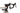 Specialized Roubaix Pro SL3 - Shimano Ultegra Di2 - Forza