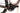 Orbea Denna M20i 2025 - Shimano XT Di2 - Oquo RC25 Team