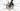 Trek Checkpoint SL 7 2021 - Shimano Ultegra - DT Swiss
