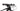Orbea OIZ H30 2022 - Shimano Deore - Orbea OC1 25c Tubeless Ready