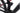 Conway eWME 3.9 2024 - Shimano Deore - Black Jack Ready 35