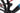 Conway eWME 4.9 XT 2024 - Shimano XT - BlackJack Ready 35