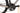 Stevens Camino Pro 2024 - Shimano GRX - DT Swiss G1800