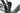 Focus Thron 2 2024 - Shimano Deore - Aluminium