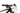 Wilier USMA SL - SRAM NX - Miche