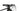 Scott Scale 930 XT 2021 - Shimano XT - DT Swiss XRC 1501